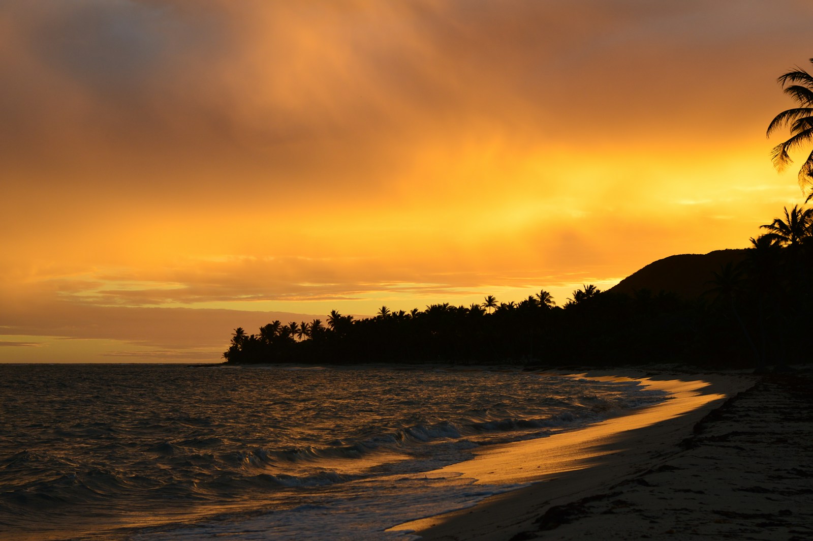 Les plus belles plages de Marie-Galante : un littoral paradisiaque