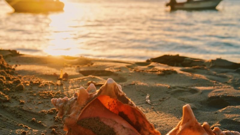 Marie-Galante, la petite Bretagne des Antilles : histoire, culture et traditions