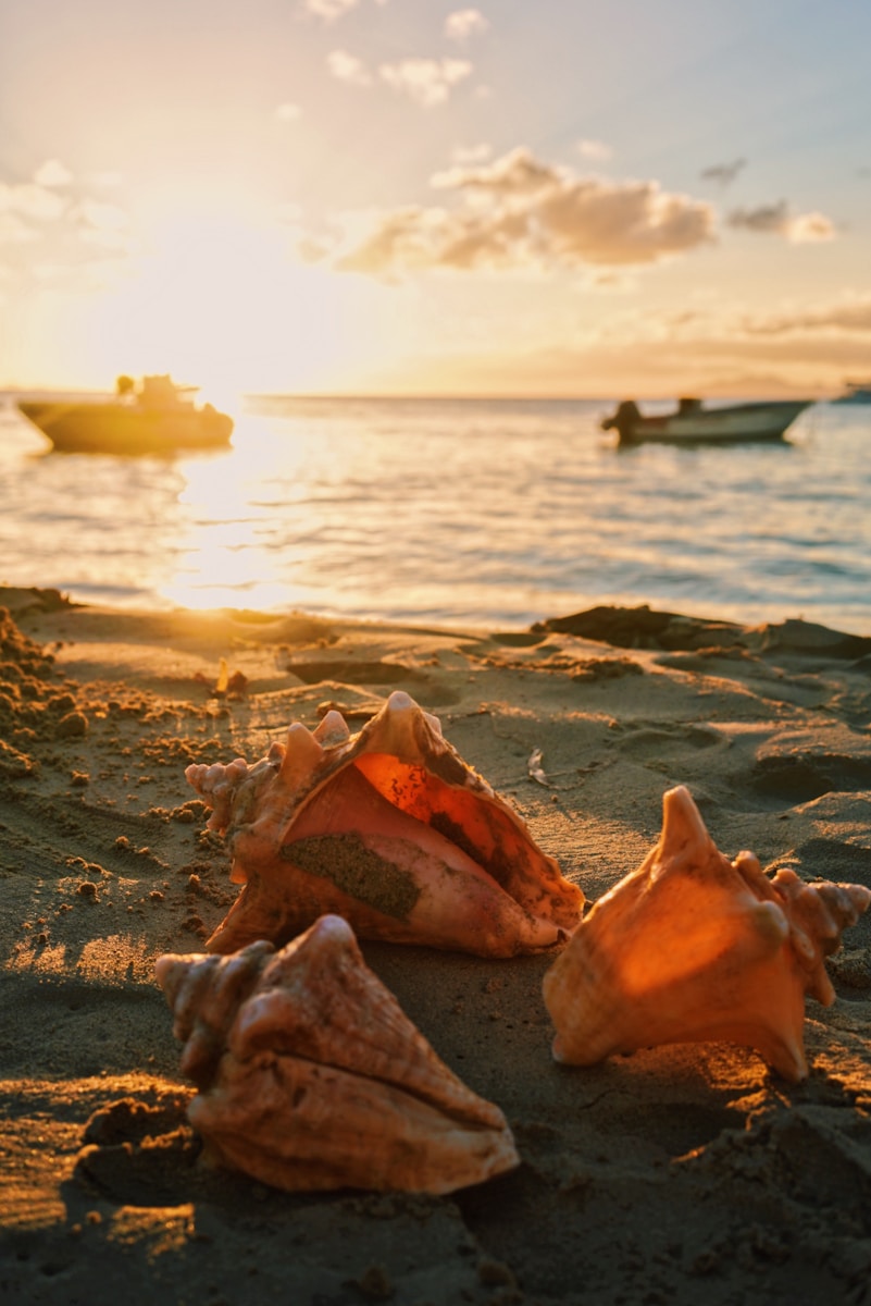 Marie-Galante, la petite Bretagne des Antilles : histoire, culture et traditions